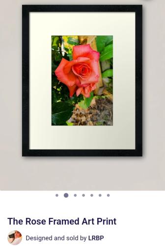 Screenshot_20250102_104705_Brave