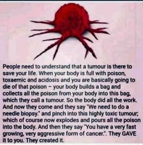 473628698_1253589659058274_471625659011482261_n