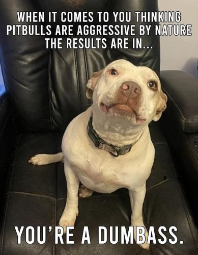 FB_IMG_1738254143843