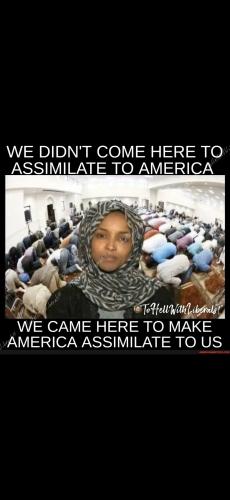 Screenshot_20250104_184936_Gallery