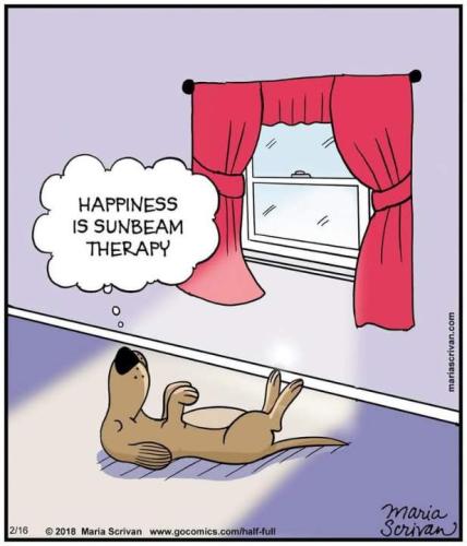 Resized_FB_IMG_1738002924795