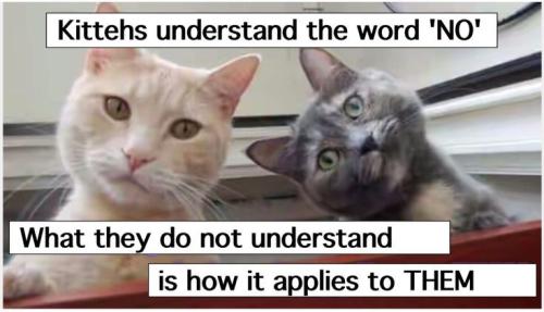 5d8d2324d90f17ee69631884476fc310