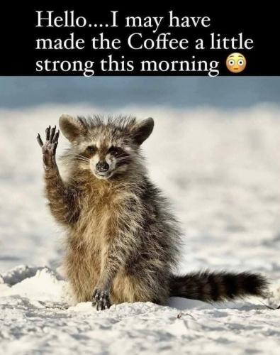 FB_IMG_1737025235122