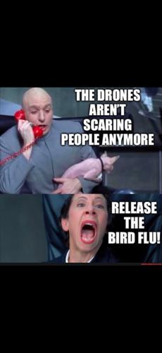 Screenshot_20250104_184951_Gallery