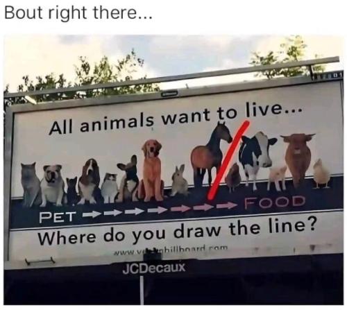 -7DsiEe__Aia-7Hxf_igvXCx