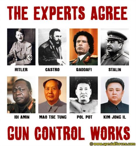 DICTATORS GUNS