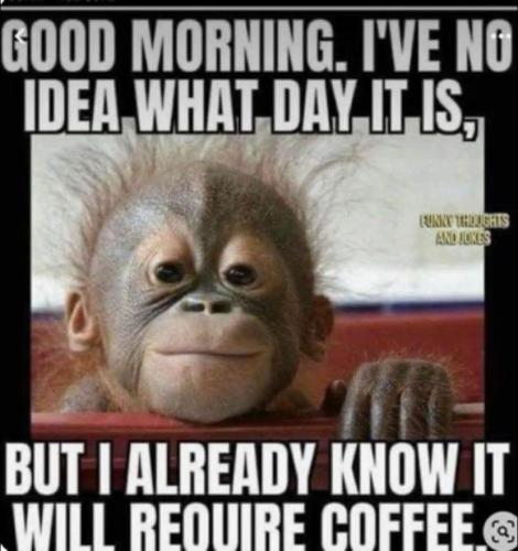 FB_IMG_1736957783160