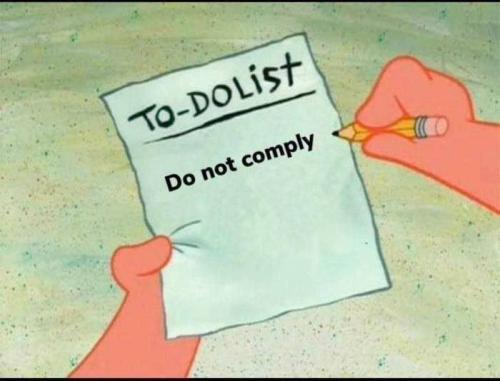 photo_2025-01-06_19-45-50