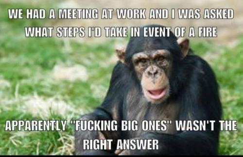 8726CD1B-D47A-494D-B1DB-90D74A2A8FC5