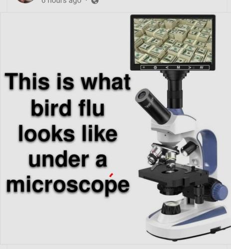 Screenshot_20250101-083600_Wimkin Free Speech Social Media