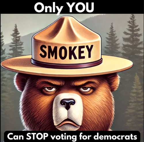 Screenshot 2025-01-12 173229