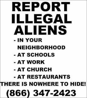 illegal immigration501