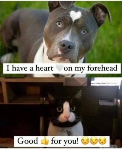 Screenshot_20250104-105016_Wimkin Free Speech Social Media