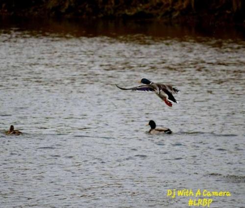 Screenshot_20250125_081009_Gallery