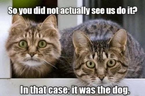 7d5b5b5e933ea27dc66a7ea9b0d18c91