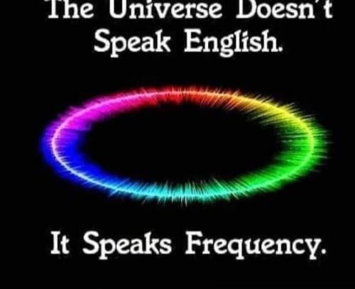 472375056_122222043290244656_7998975932920582016_n
