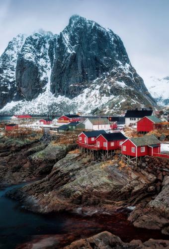 Reine-Vertical