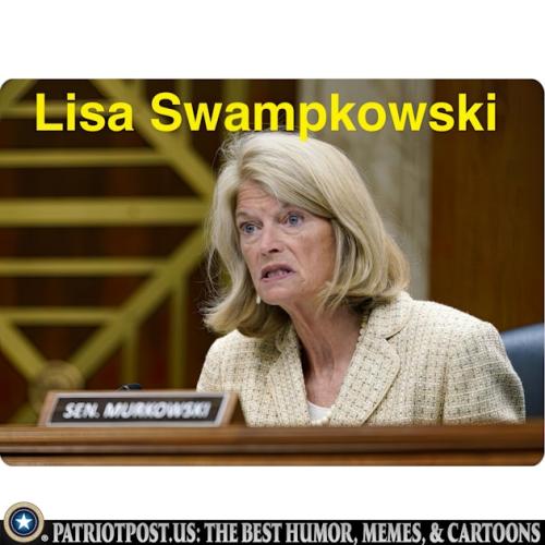 01JJNPD606ZJT26BS1188YNKQH