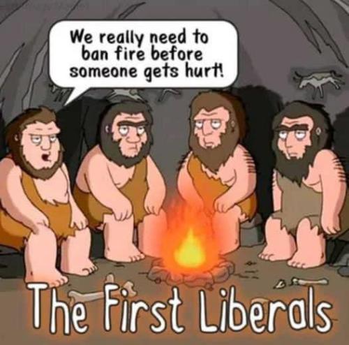 THE FIRST PROGRESSIVES