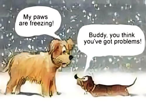 FE056BE8-7A8C-4BFC-88CB-A3FD8B6B5F0B