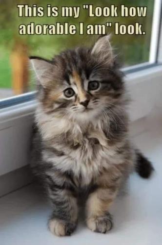 2348318c8f9198c392ee92e978552c10