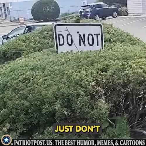 01JJX6YQ5DPJERPRY8MVSB42MS