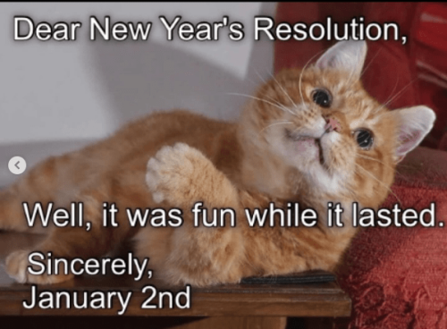 dear-new-years-resolution-well-fun-while-lasted-sincerely-january-2nd
