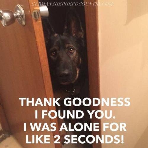 d57a08873343b40b147873a3786dd668