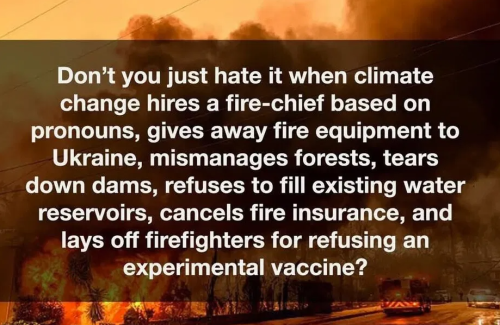 image_2025-01-09_062611552