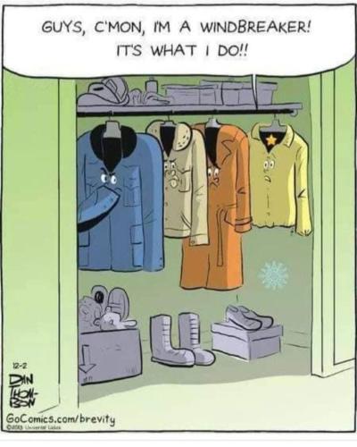 image_7AC5D2DF-8B40-4E25-9CDB-C6811023B1FA