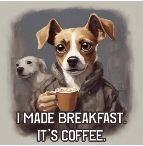 473717011_122132834522531904_4419074887348896504_n