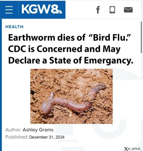 image_2025-01-01_102222577