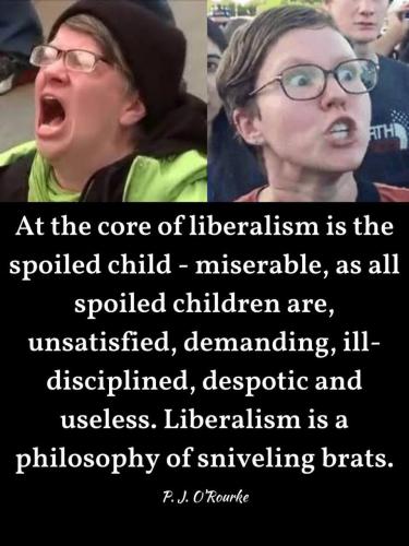 IMG_20250116_063043_109