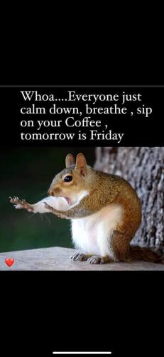 FB_IMG_1737658302195