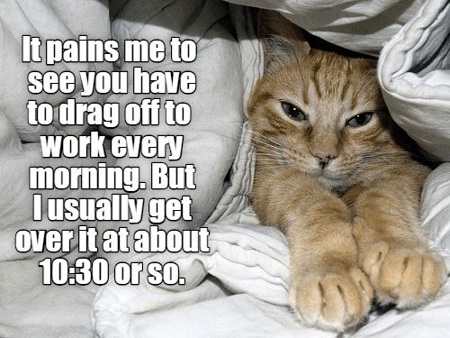 0110b045a411267bd958db058dd91e82