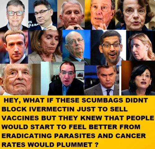 photo_2025-01-24_00-53-54