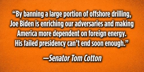 01JGYQY1WM07FRV537QGB61TVX