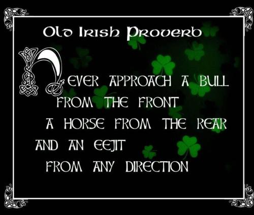 C2C7F727-7C3B-416F-A1EB-55A73F1F5683