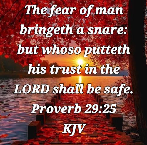 18c99c43-47d7-4e45-9ae3-bbc13d7cf782