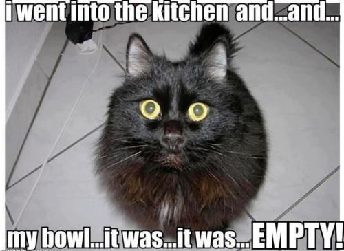 6016b05e02213159372f5761fbb11730