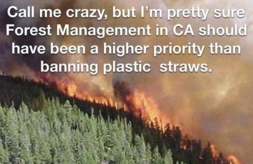 image_4546A268-4279-400A-B5BC-87C48FB5DC79