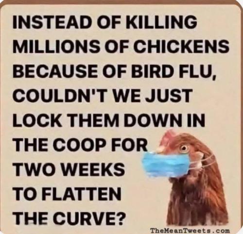 09F317F0-1B60-43B4-B291-390FF6D062B9