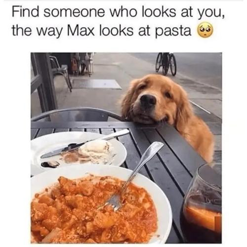 FDE02F51-0334-4DD6-B753-B85B5C4DE11C