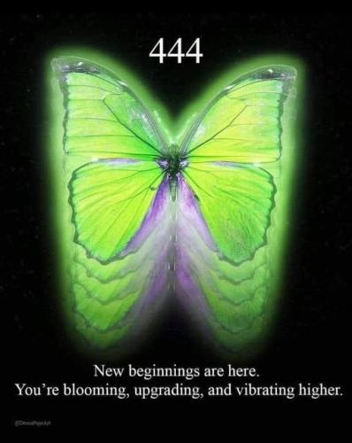 475095024_10162169888432460_6592017832139070158_n
