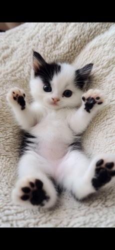 Screenshot_20250103_205251_Gallery