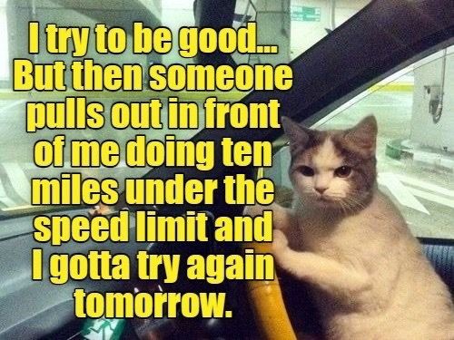 cbf9747c534423cabd12b704611b2a66