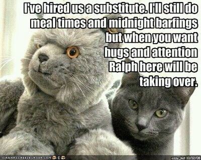 5354a055bc97909978443403c750595f