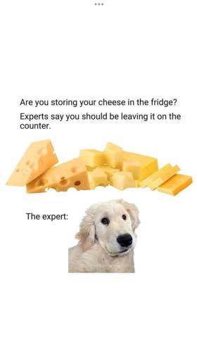 FB_IMG_1738099495172