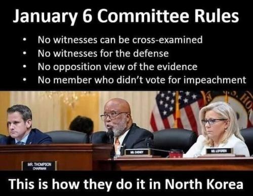 JAN 6 COMMITTEE