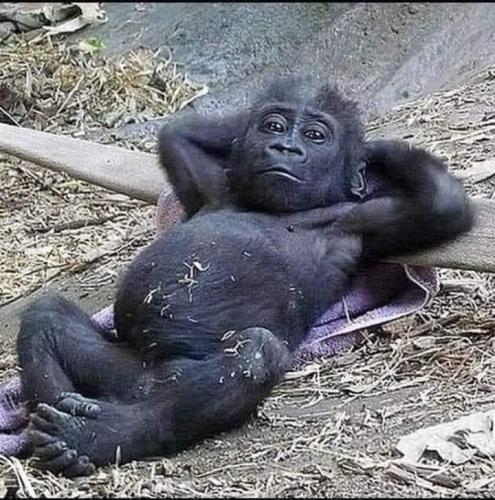 e7cbbe92-cb66-42e0-916b-ce1fb4f2238b